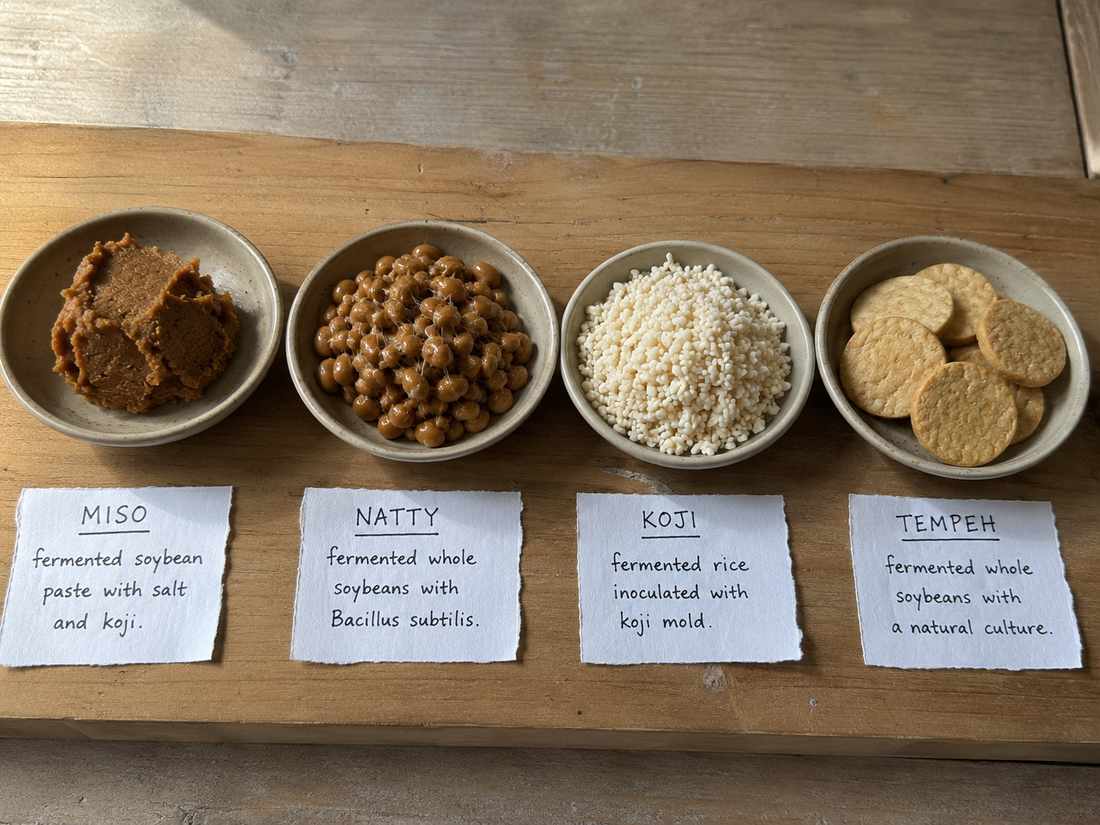miso, natto, koji and tempeh in plates