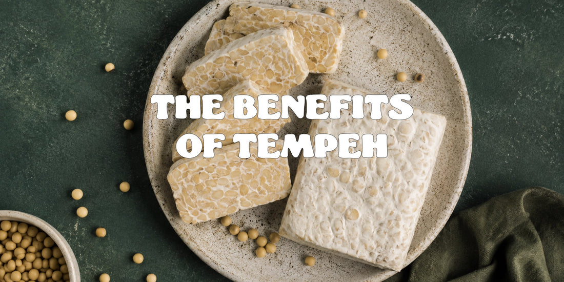 raw tempeh on plate