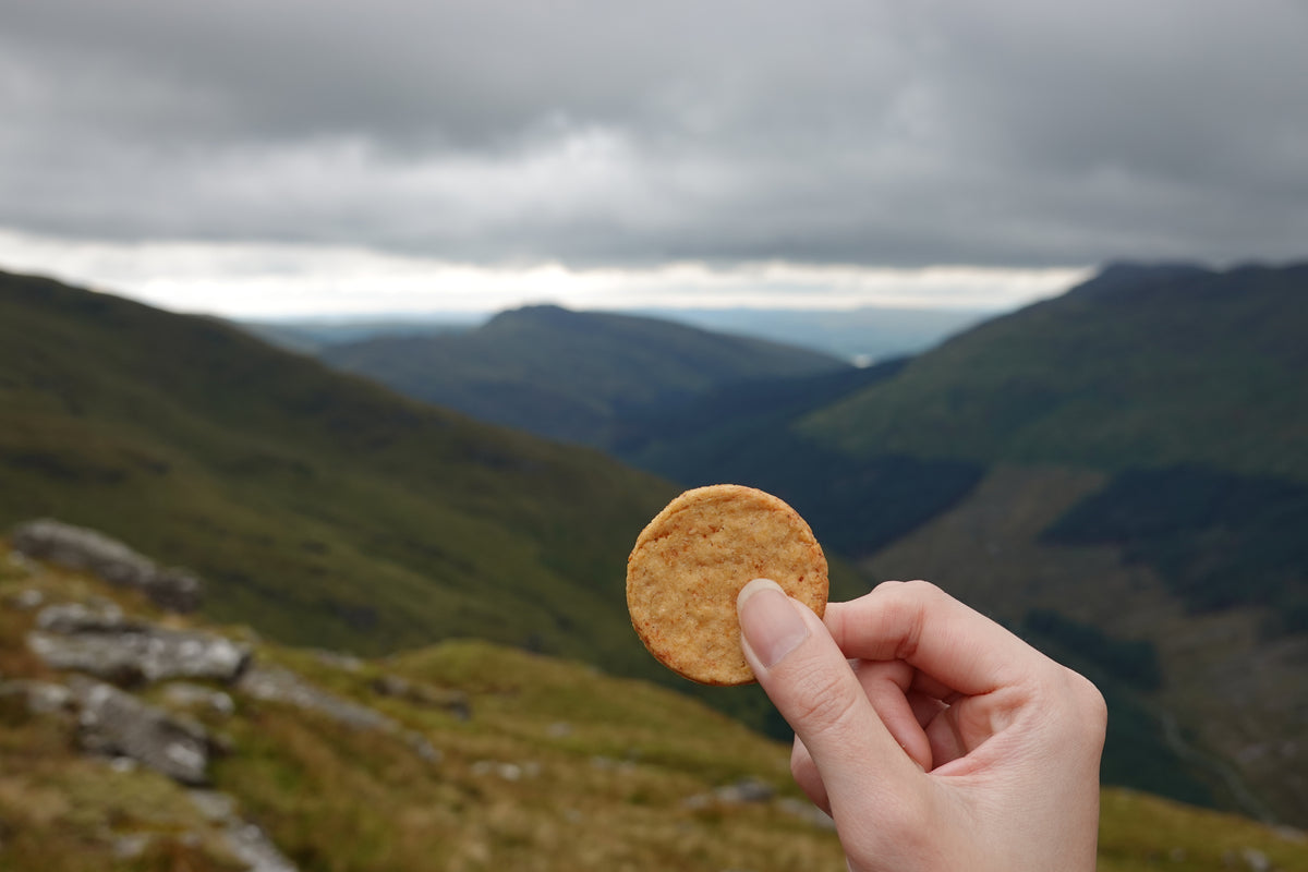 A TEMPTÉ baked tempeh snack held up in front of a steep green glen and an overcast sky.
