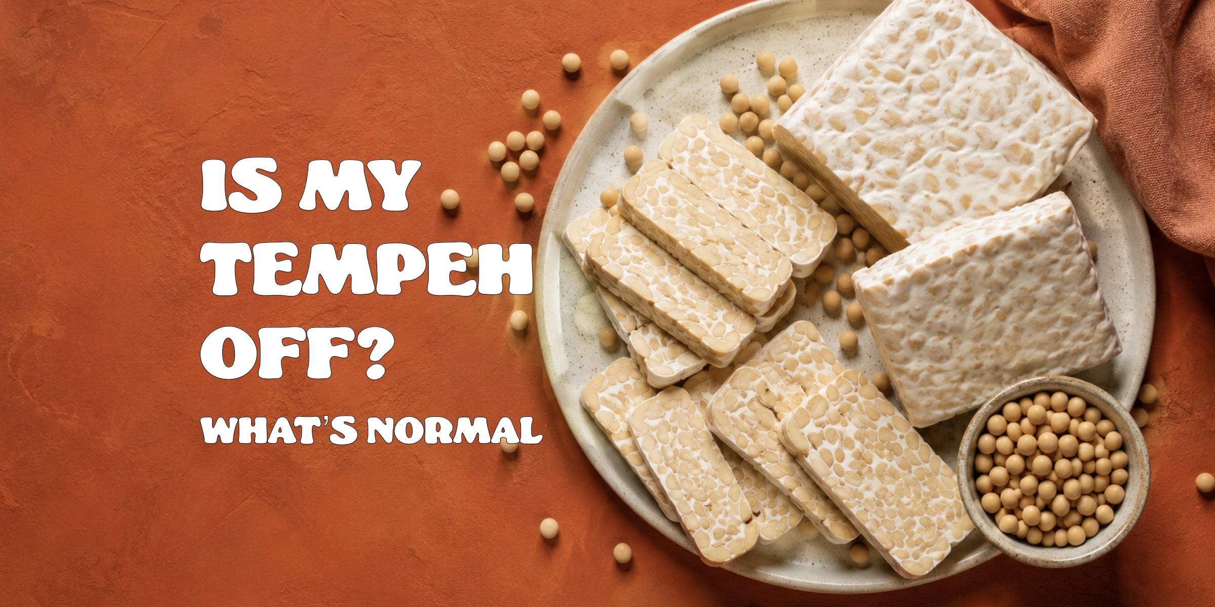 tempeh with soybeans on a plate
